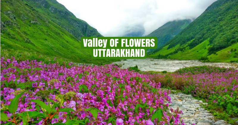 Valley OF FLOWERS UTTARAKHAND