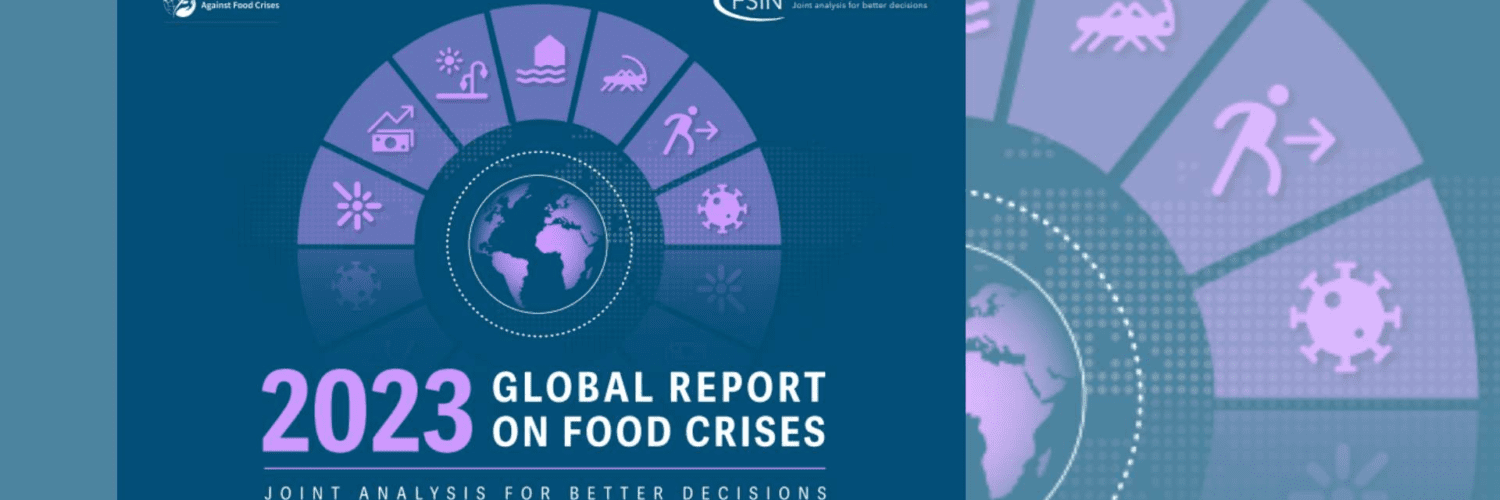 Global Report on Food Crisis (GRFC) Highlights