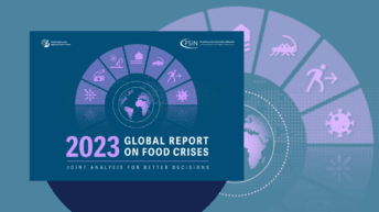 Global Report on Food Crisis (GRFC) Highlights